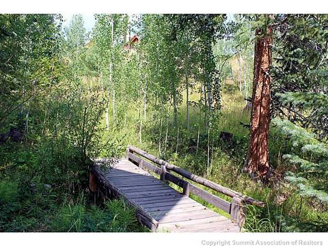 706 Willowbrook Rd, Silverthorne, CO 80498 photo 24