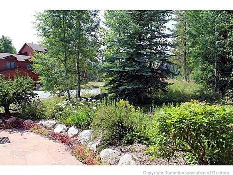 706 Willowbrook Rd, Silverthorne, CO 80498 photo 21