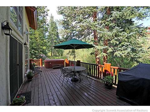 706 Willowbrook Rd, Silverthorne, CO 80498 photo 20