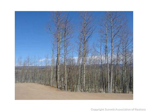 598 Kite Ct, Como, CO 80432 photo 3