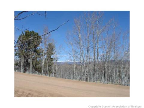 598 Kite Ct, Como, CO 80432 photo 6