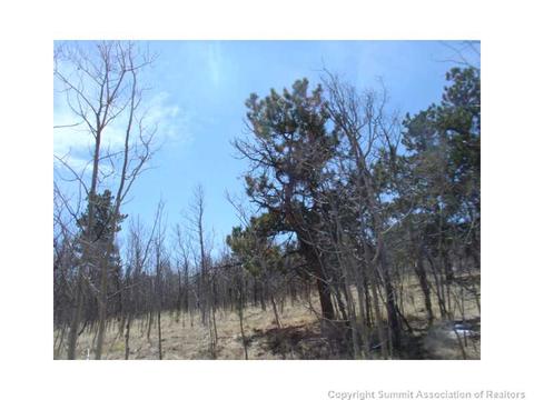 598 Kite Ct, Como, CO 80432 photo 5