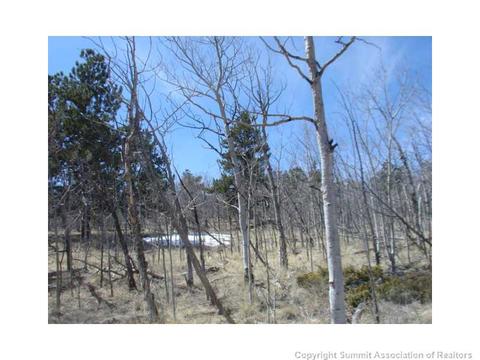 598 Kite Ct, Como, CO 80432 photo 4