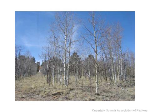 598 Kite Ct, Como, CO 80432 photo 2