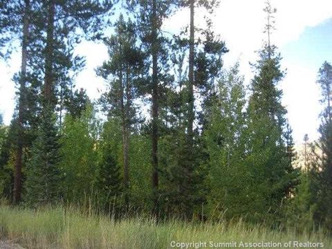 360 Black Hawk Cir, Silverthorne, CO 80498 photo 2