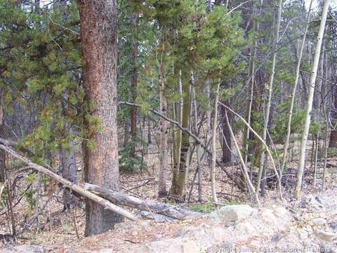 44 Ibes Ct, Como, CO 80432 photo 2
