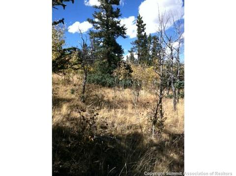 235 Shetland Cir, Como, CO 80432 photo 2
