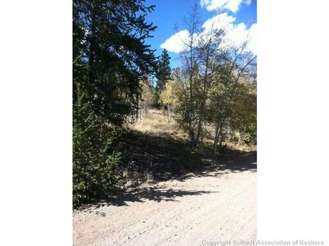 235 Shetland Cir, Como, CO 80432 photo 3