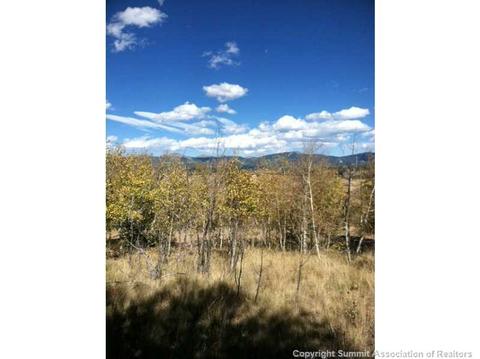 235 Shetland Cir, Como, CO 80432 photo 1