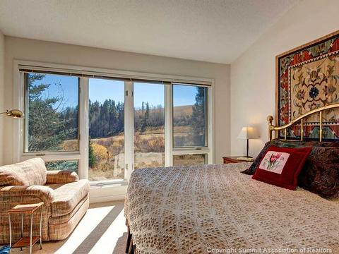 507 Coyote Dr, Silverthorne, CO 80498 photo 12