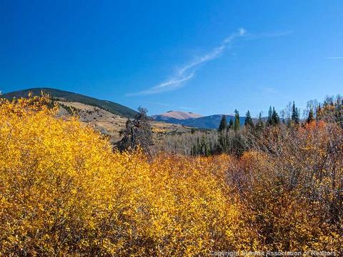 507 Coyote Dr, Silverthorne, CO 80498 photo 24