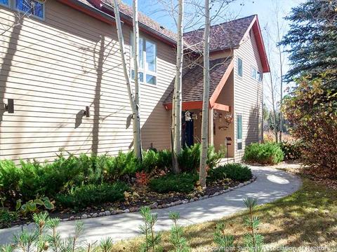 507 Coyote Dr, Silverthorne, CO 80498 photo 2