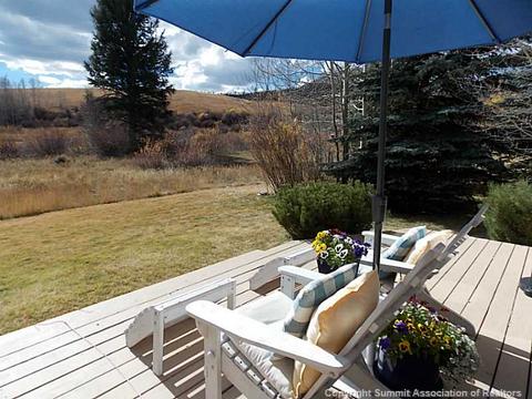 507 Coyote Dr, Silverthorne, CO 80498 photo 22
