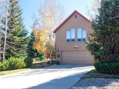 507 Coyote Dr, Silverthorne, CO 80498 photo 1