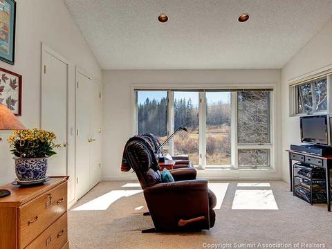 507 Coyote Dr, Silverthorne, CO 80498 photo 15