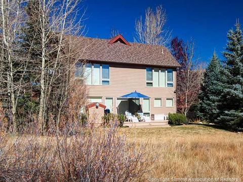 507 Coyote Dr, Silverthorne, CO 80498 photo 3