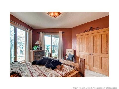 104 Ensign Dr, Dillon, CO 80435 photo 22