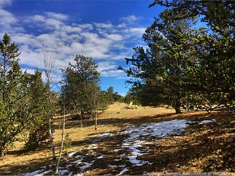 281 Sequoia Rd, Hartsel, CO 80449 photo 17