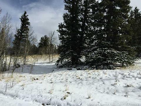 128 Bear Ln, Como, CO 80432 photo 17