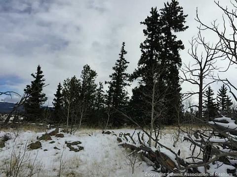 128 Bear Ln, Como, CO 80432 photo 3