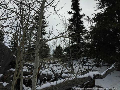 128 Bear Ln, Como, CO 80432 photo 2