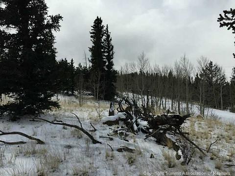 128 Bear Ln, Como, CO 80432 photo 8