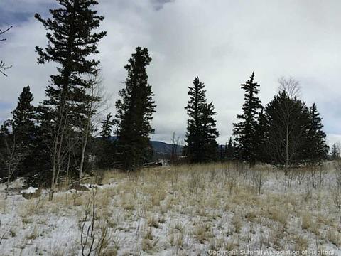 128 Bear Ln, Como, CO 80432 photo 6