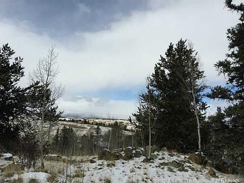 128 Bear Ln, Como, CO 80432 photo 10