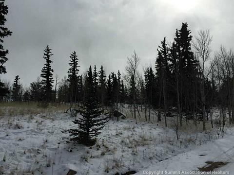 128 Bear Ln, Como, CO 80432 photo 15
