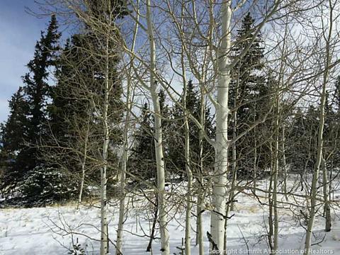 128 Bear Ln, Como, CO 80432 photo 19