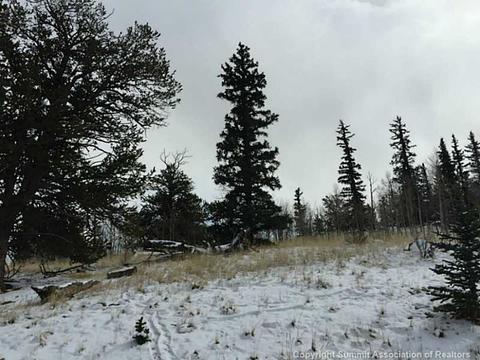 128 Bear Ln, Como, CO 80432 photo 14