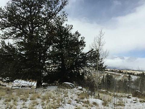128 Bear Ln, Como, CO 80432 photo 9