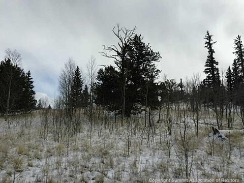 128 Bear Ln, Como, CO 80432 photo 5