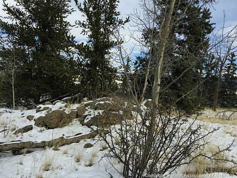 128 Bear Ln, Como, CO 80432 photo 7
