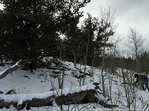 128 Bear Ln, Como, CO 80432 photo 1