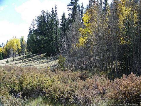 240 Palomino Rd, Como, CO 80432 photo 6