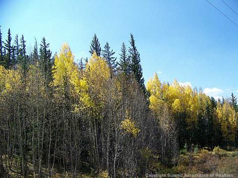 240 Palomino Rd, Como, CO 80432 photo 3