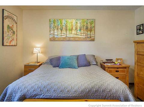250 Coyote Ct, Silverthorne, CO 80498 photo 16