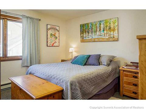 250 Coyote Ct, Silverthorne, CO 80498 photo 15
