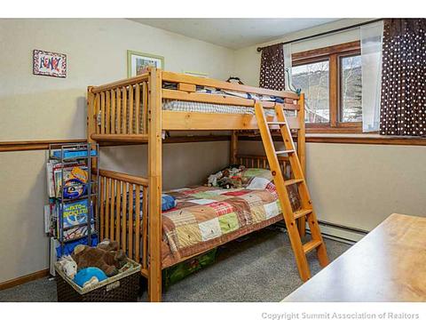 250 Coyote Ct, Silverthorne, CO 80498 photo 23