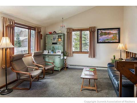 250 Coyote Ct, Silverthorne, CO 80498 photo 3