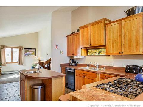 250 Coyote Ct, Silverthorne, CO 80498 photo 10