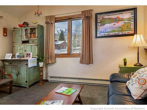 250 Coyote Ct, Silverthorne, CO 80498 photo 4