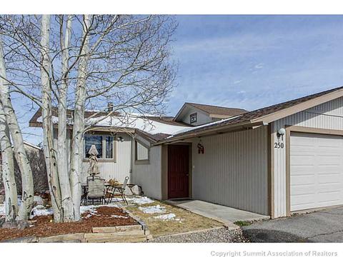 250 Coyote Ct, Silverthorne, CO 80498 photo 13