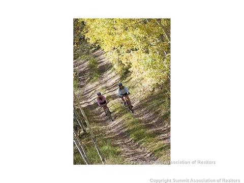 76 Flyline Dr, Silverthorne, CO 80498 photo 5