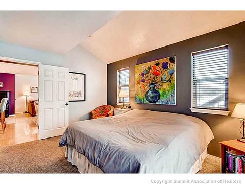 820 Alpine Rd, Dillon, CO 80435 photo 16
