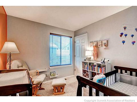 820 Alpine Rd, Dillon, CO 80435 photo 20