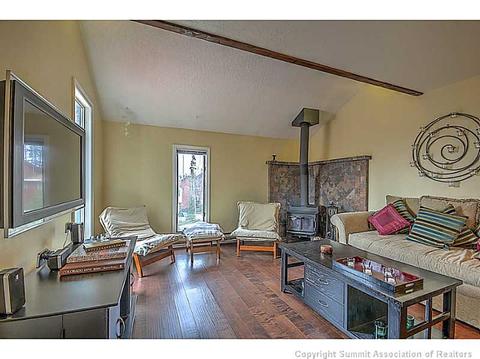 161 N Side Cir, Silverthorne, CO 80498 photo 3