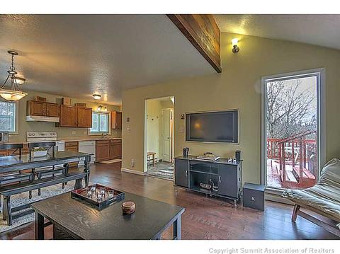 161 N Side Cir, Silverthorne, CO 80498 photo 5