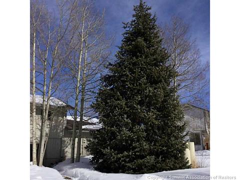57 Arrowhead Ct, Dillon, CO 80435 photo 21
